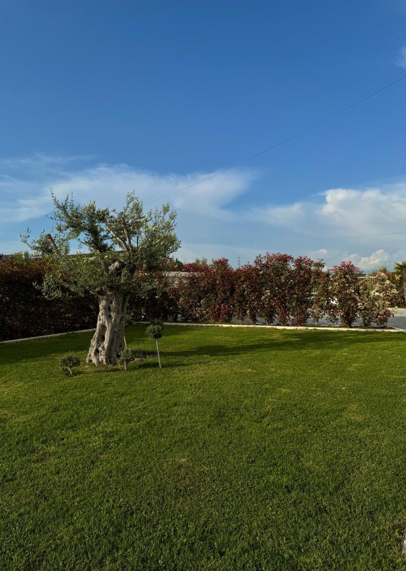 Villa Esmi Durres Kryemedhej ภายนอก รูปภาพ